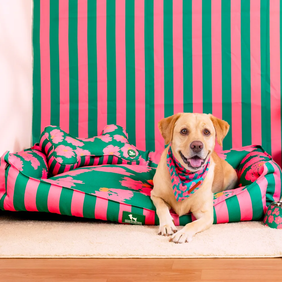 HUFT Pawsome Blossom Lounger Bed For Dog - Green & Pink