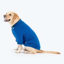 HUFT Paws Polo T-Shirt For Dog - Blue