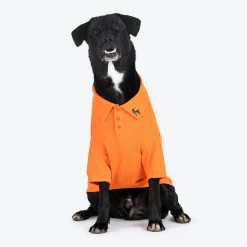 HUFT Paws Polo T-Shirt For Dog - Orange