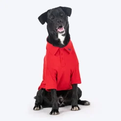 HUFT Paws Polo T-Shirt For Dog - Red