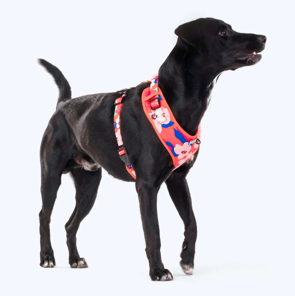 HUFT Petal Play Adjustable Dog Harness - Orange