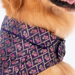 HUFT Petals & Pyaar Brocade Sherwani For Dog & Cat - Navy Blue