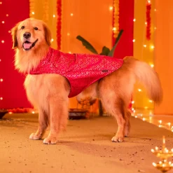 HUFT Petals & Pyaar Brocade Sherwani For Dog & Cat - Rani Pink