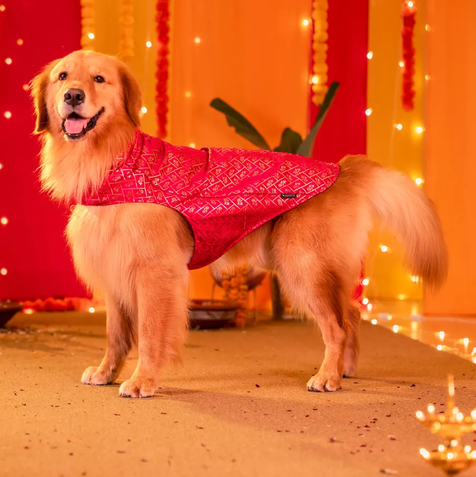 HUFT Petals & Pyaar Brocade Sherwani For Dog & Cat - Rani Pink