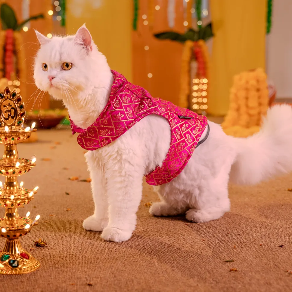 HUFT Petals & Pyaar Brocade Sherwani For Dog & Cat - Rani Pink