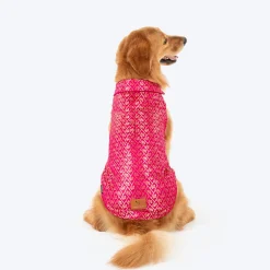 HUFT Petals & Pyaar Brocade Sherwani For Dog & Cat - Rani Pink
