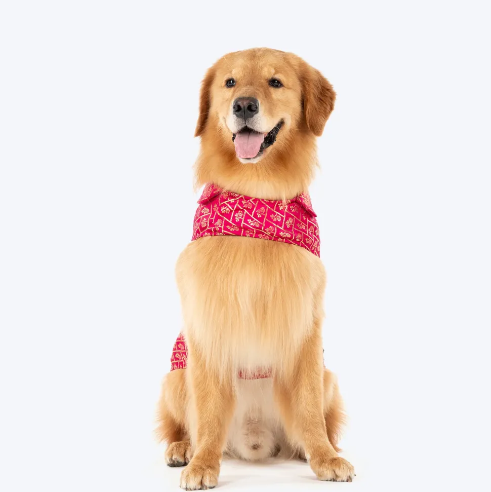 HUFT Petals & Pyaar Brocade Sherwani For Dog & Cat - Rani Pink