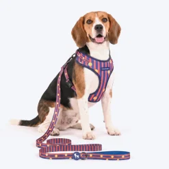 HUFT Playstripes Adjustable Harness For Dog - Rust & Navy
