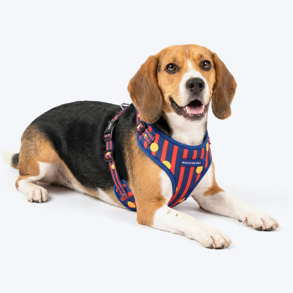 HUFT Playstripes Adjustable Harness For Dog - Rust & Navy