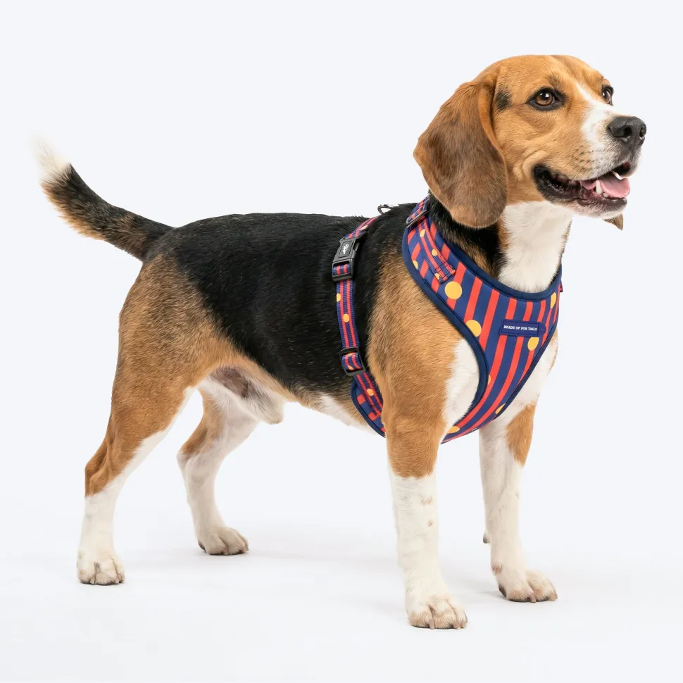 HUFT Playstripes Adjustable Harness For Dog - Rust & Navy