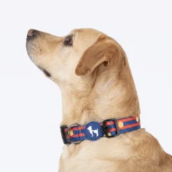 HUFT Playstripes Collar For Dog - Rust & Navy
