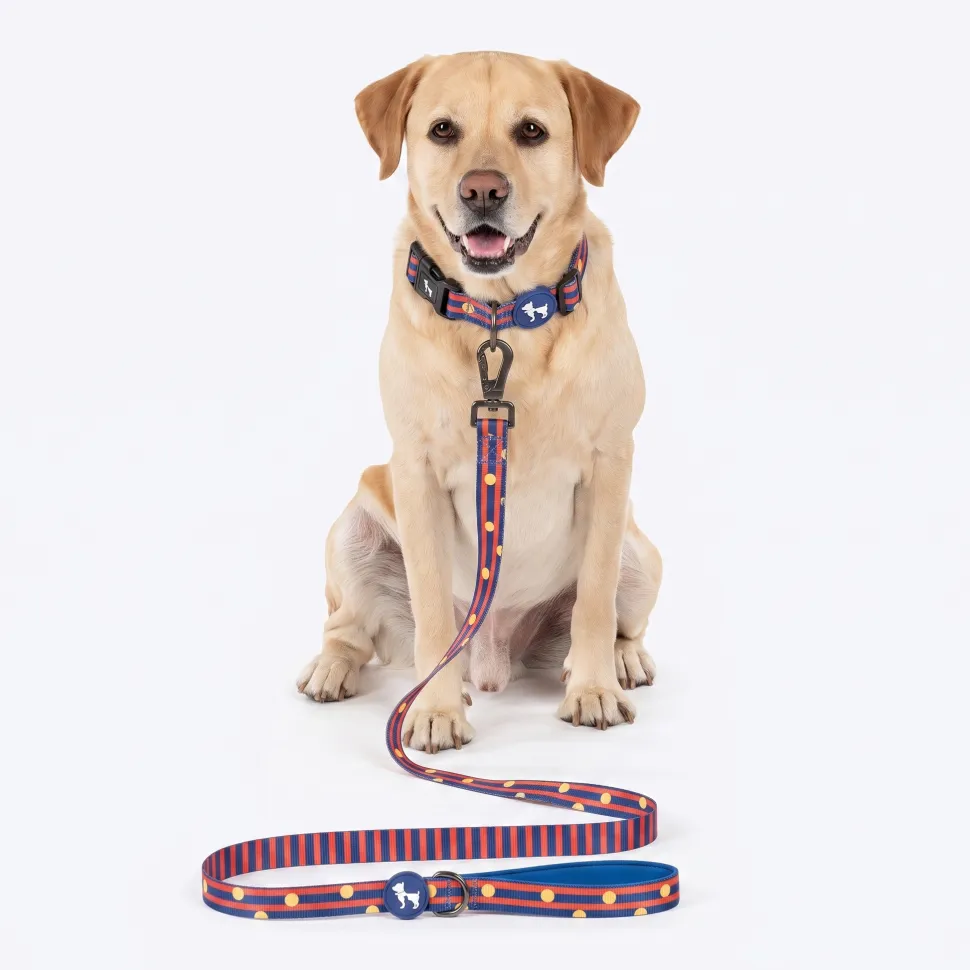 HUFT Playstripes Collar For Dog - Rust & Navy