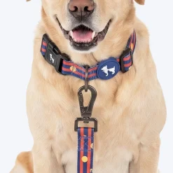 HUFT Playstripes Collar For Dog - Rust & Navy