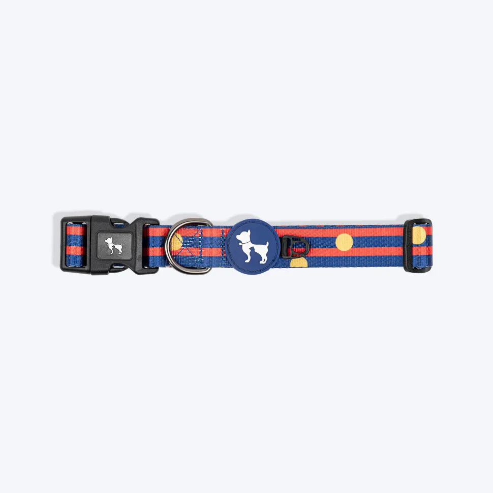 HUFT Playstripes Collar For Dog - Rust & Navy