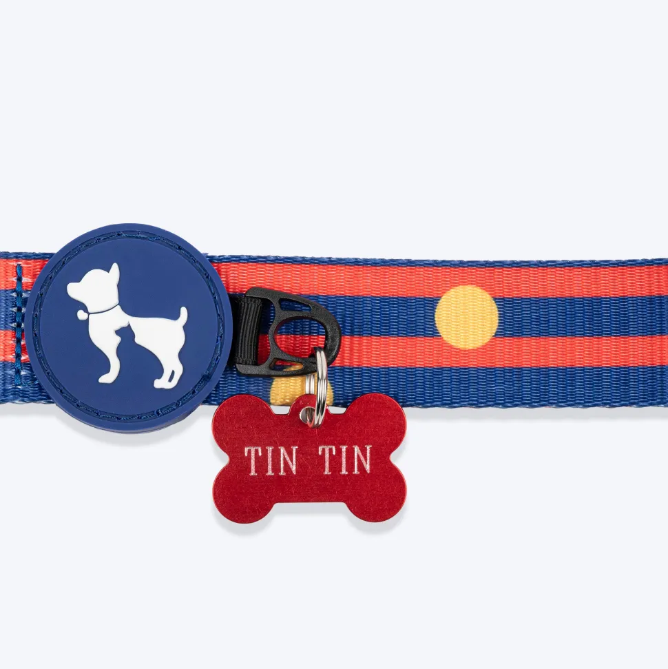 HUFT Playstripes Collar For Dog - Rust & Navy