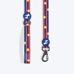 HUFT Playstripes Leash For Dog - Rust & Navy