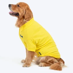 HUFT Polo Tees For Dogs - Yellow