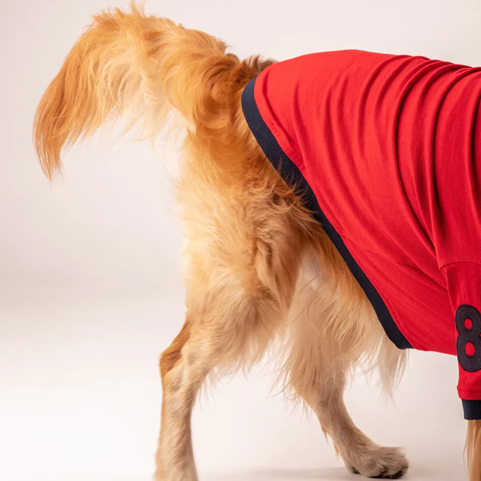 HUFT Polo T-Shirt For Dog - Red