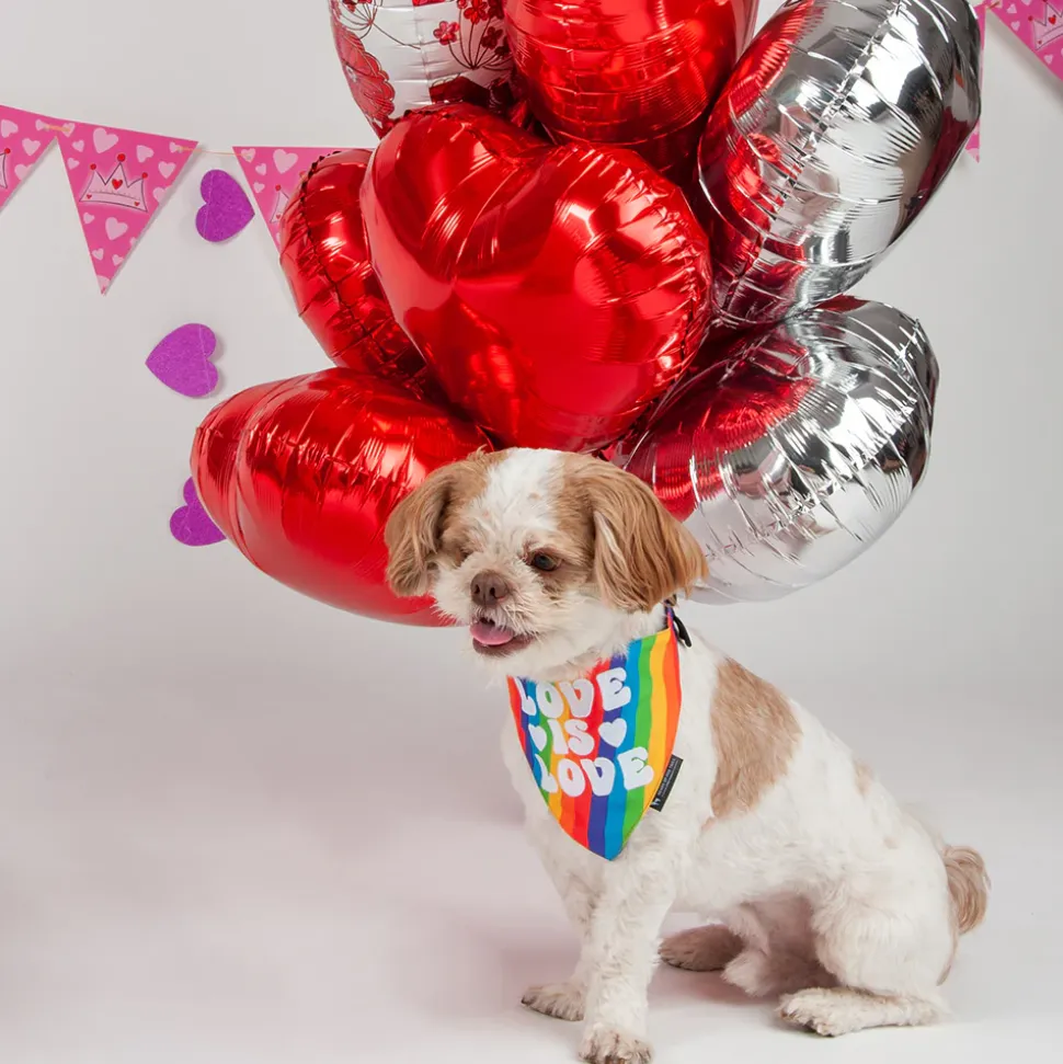 HUFT Pride Love is Love Dog Bandana