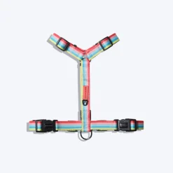 HUFT Pride Rainbow Popsicle Dog H-Harness