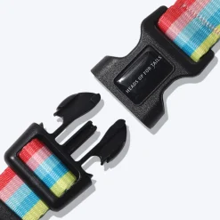 HUFT Pride Rainbow Popsicle Dog H-Harness