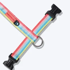 HUFT Pride Rainbow Popsicle Dog H-Harness