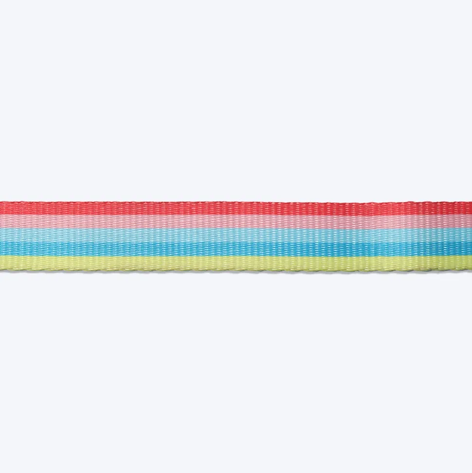 HUFT Pride Rainbow Popsicle Dog H-Harness