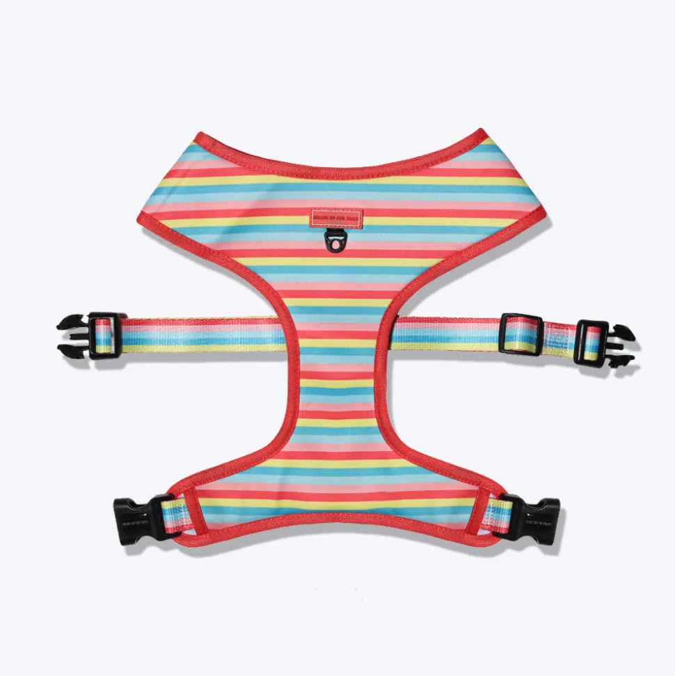 HUFT Pride Rainbow Popsicle Reversible Dog Harness