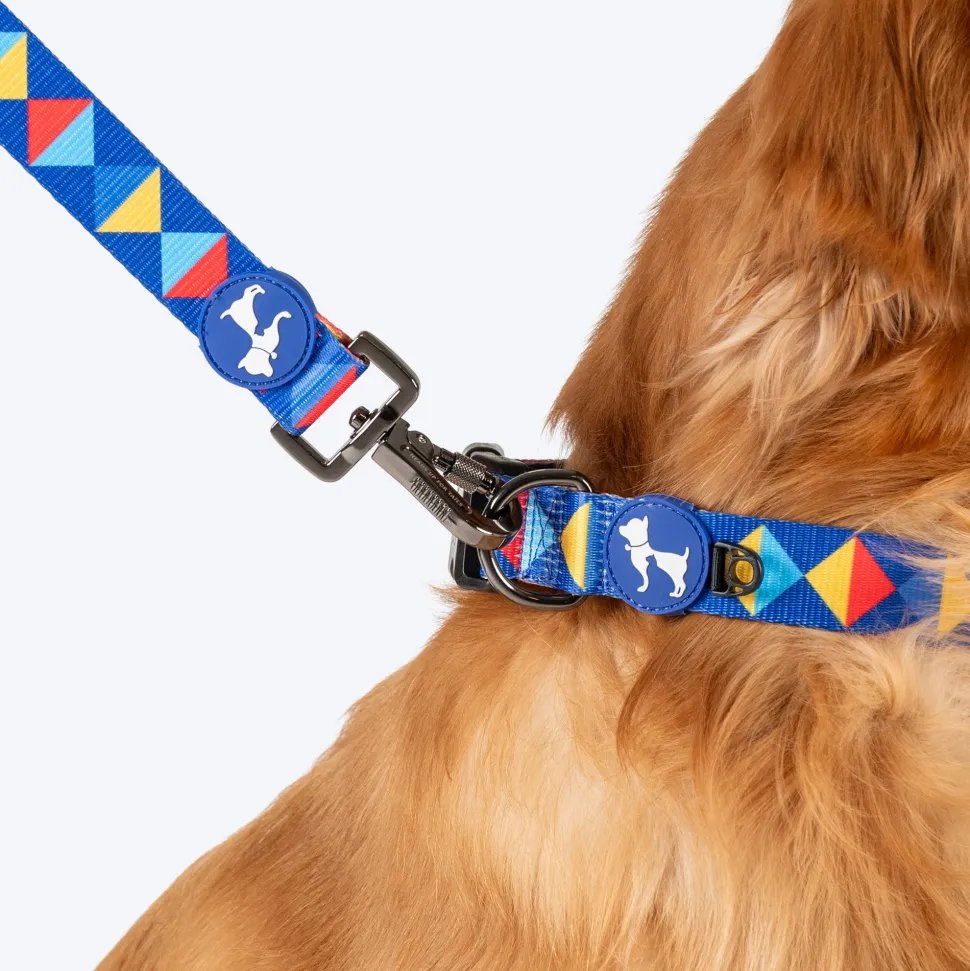 HUFT Prism Patterns Leash For Dog - Blue