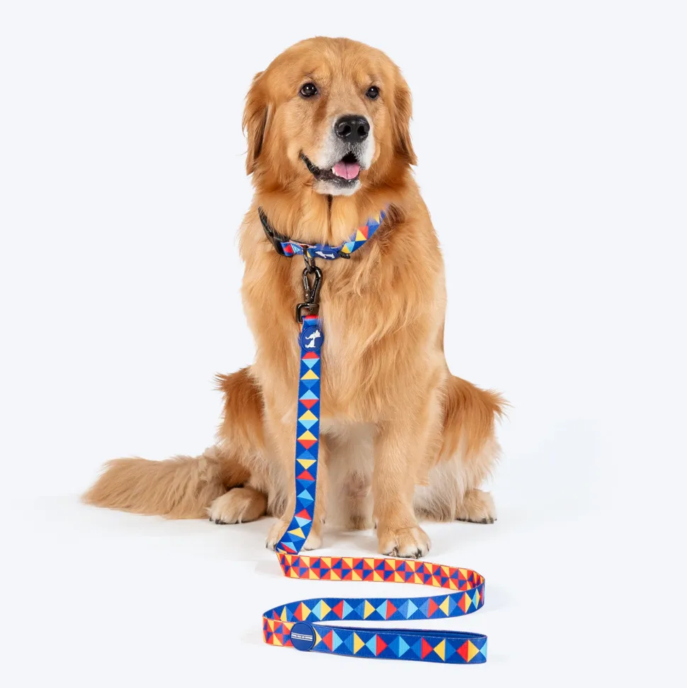 HUFT Prism Patterns Leash For Dog - Blue