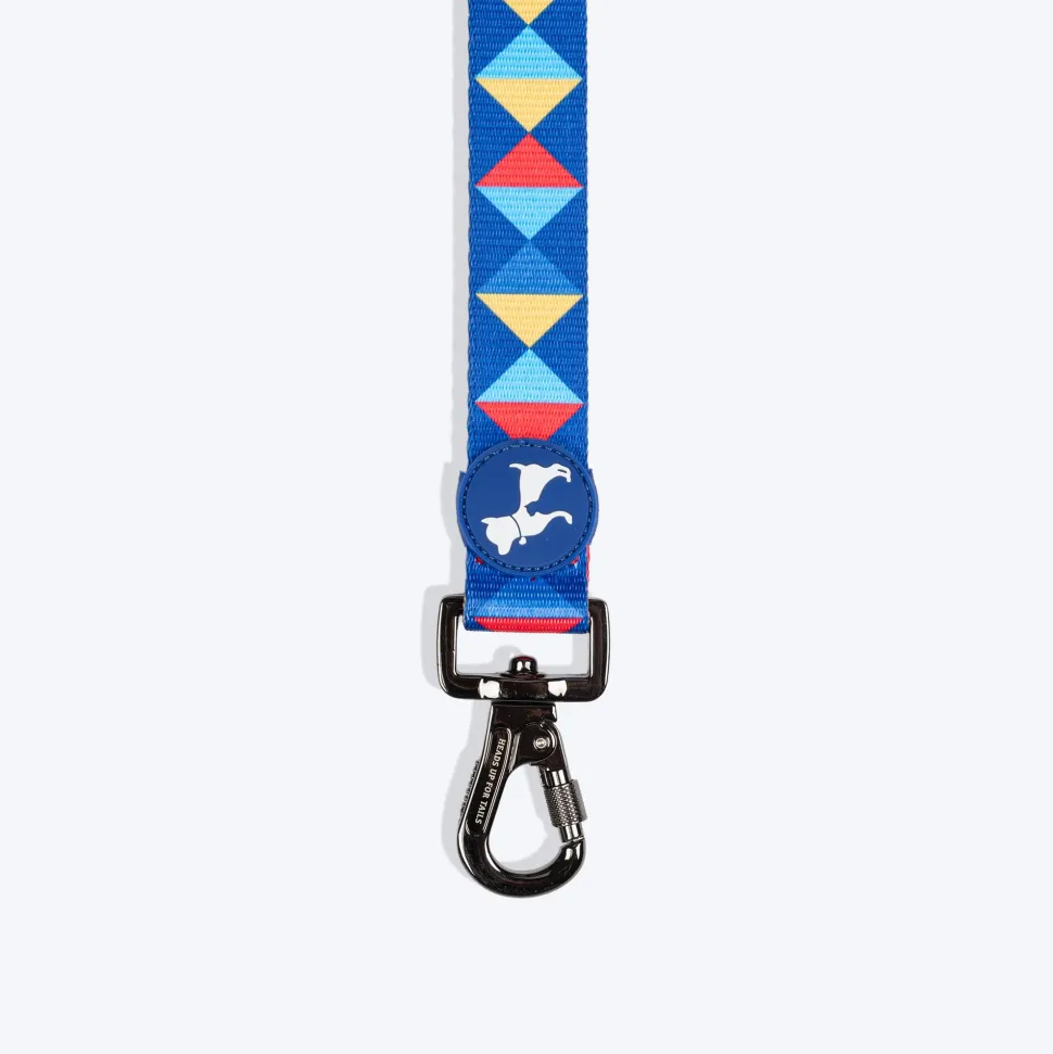 HUFT Prism Patterns Leash For Dog - Blue