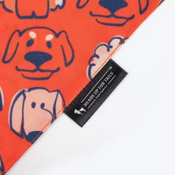 HUFT Pupper Parade Knot Bandana For Dog - Orange