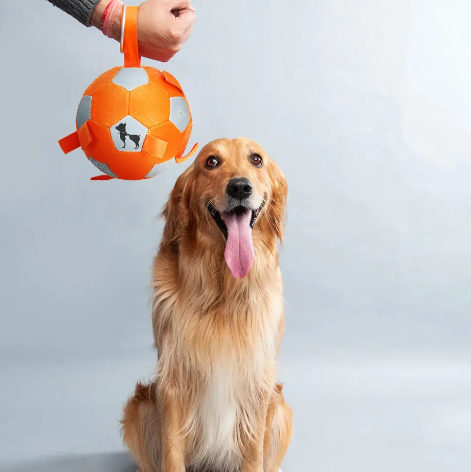 HUFT Quintessential Rubber Football For Dog
