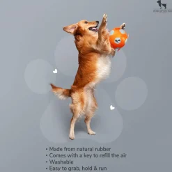 HUFT Quintessential Rubber Football For Dog