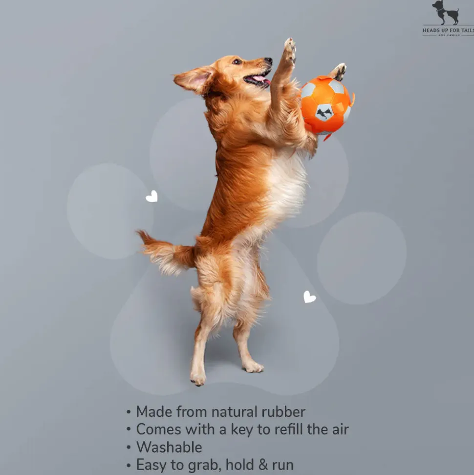 HUFT Quintessential Rubber Football For Dog