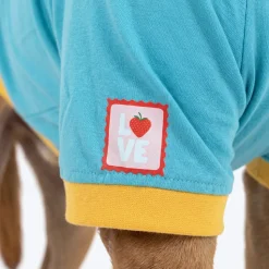 HUFT Rainbow Happiness Printed T-Shirt For Dog - Sky Blue