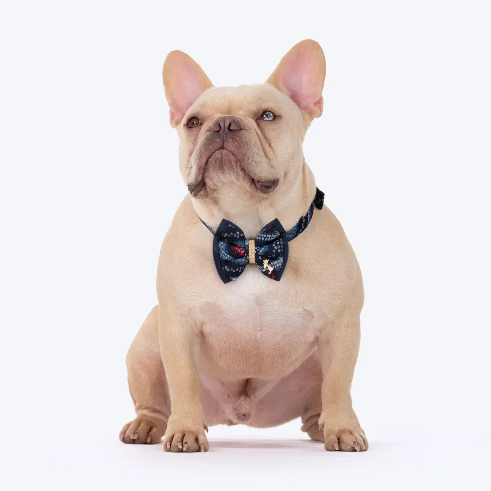 HUFT Rang Riwaz Bow Tie With Strap For Dog - Blue