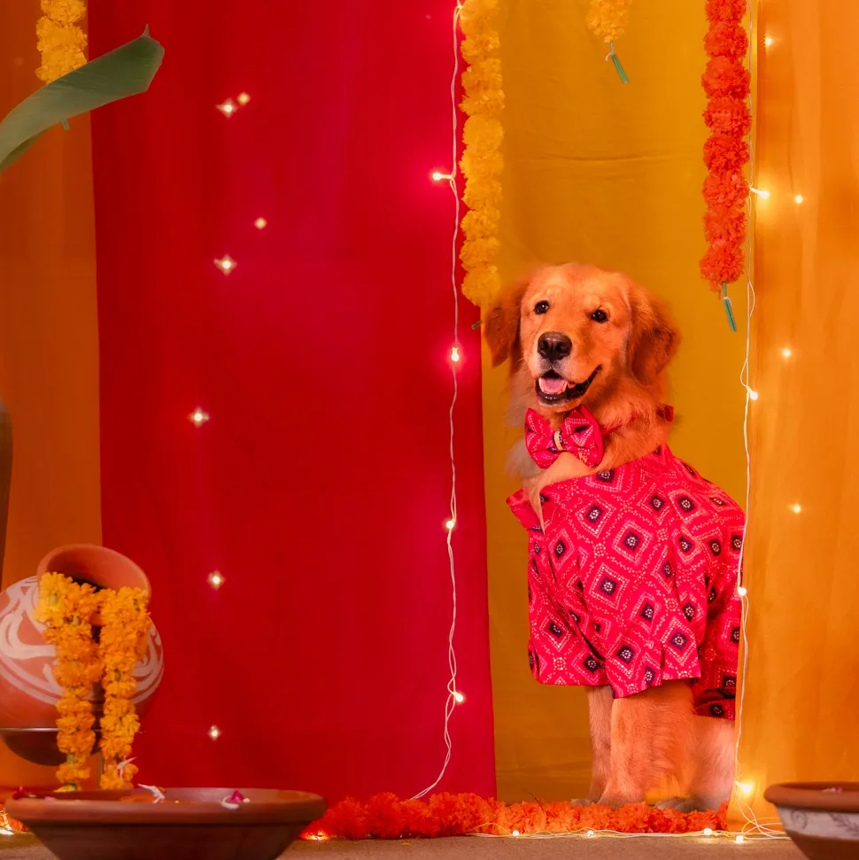 HUFT Rang Riwaz Kurta For Dog & Cat - Pink