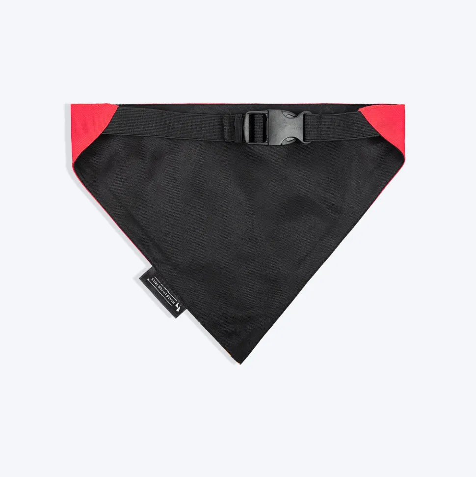 HUFT Rani Beti Bandana For Dog - Pink