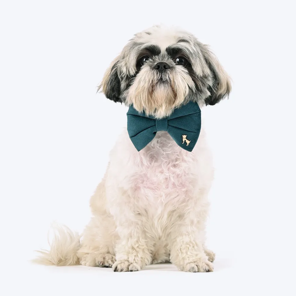 HUFT Regal Luxe Collar With Bow Tie For Dog - Green