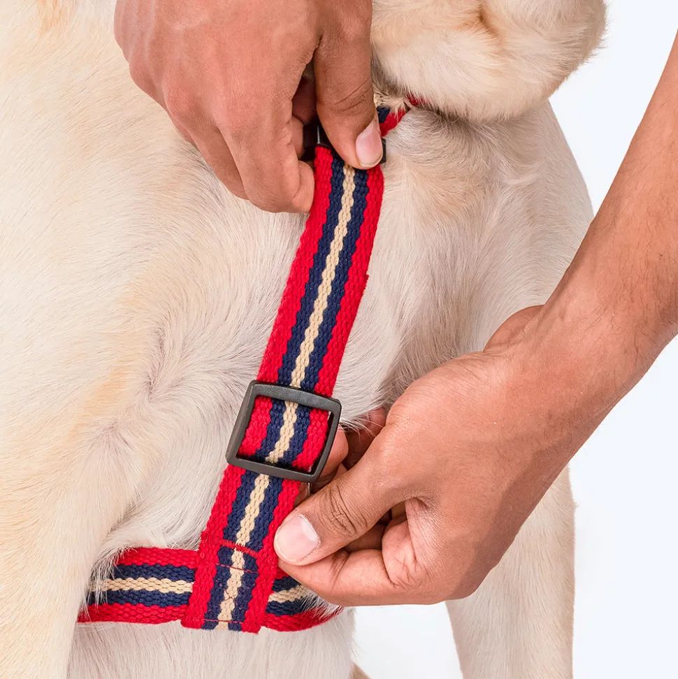 HUFT Retro Vibes Dog H-Harness - Maroon & Navy