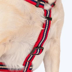 HUFT Retro Vibes Dog H-Harness - Maroon & Navy