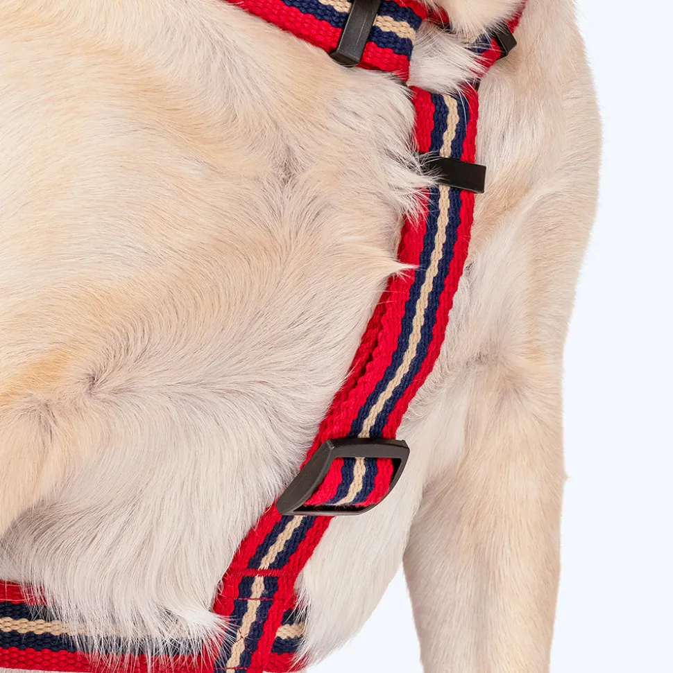 HUFT Retro Vibes Dog H-Harness - Maroon & Navy