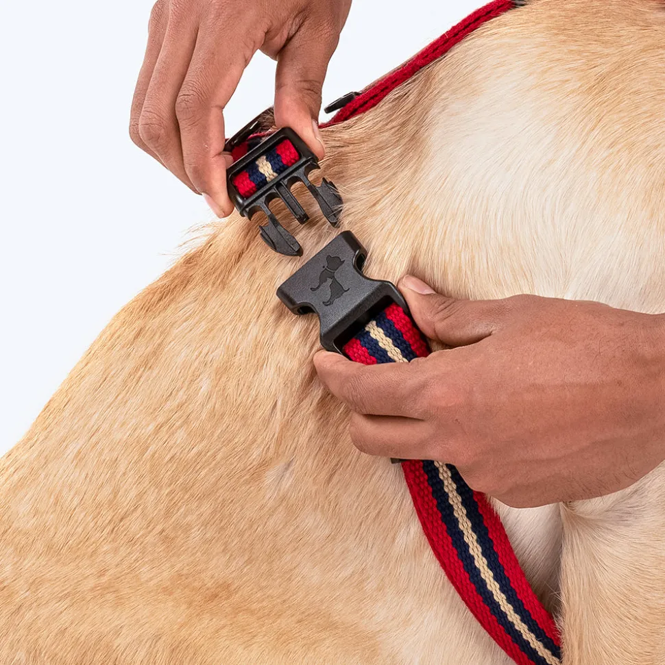 HUFT Retro Vibes Dog H-Harness - Maroon & Navy