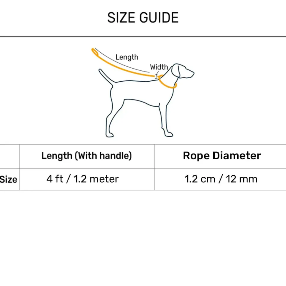 HUFT Rope Leash With Carabiner For Dog - Grey - 1.2 m