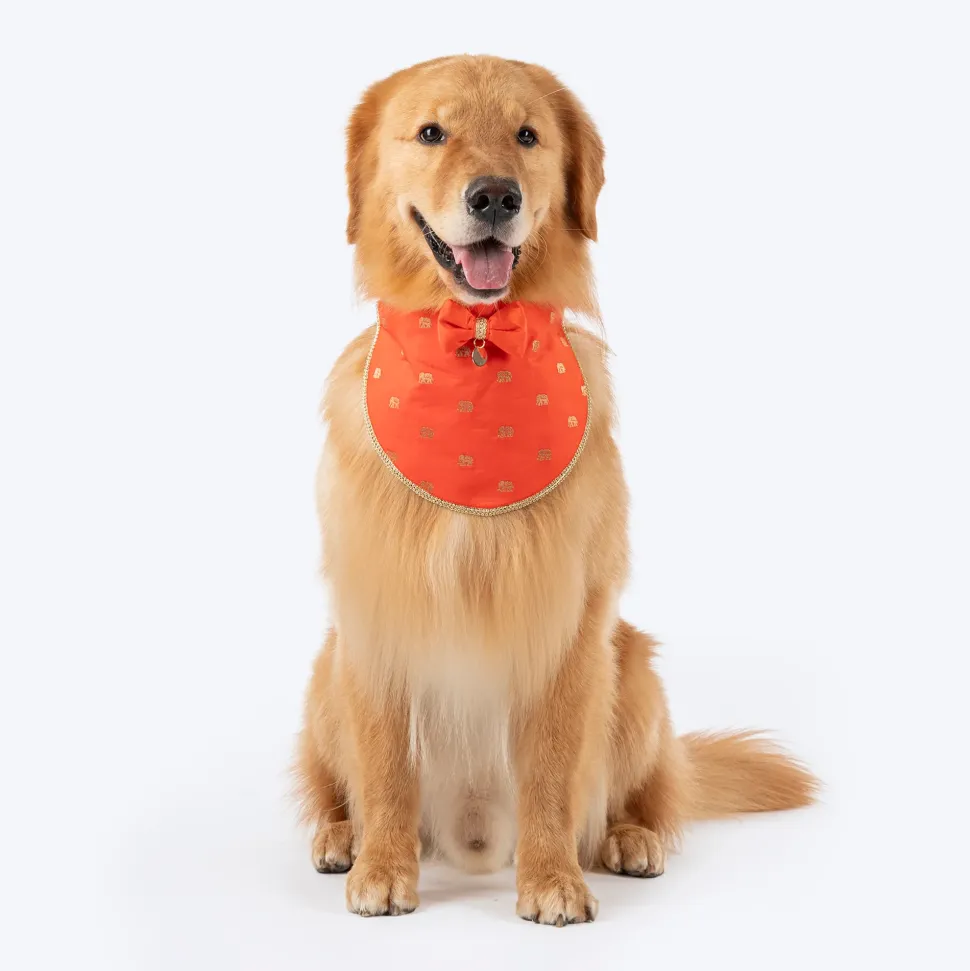 HUFT Royal Elephant Bandana For Dog - Orange