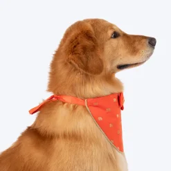 HUFT Royal Elephant Bandana For Dog - Orange