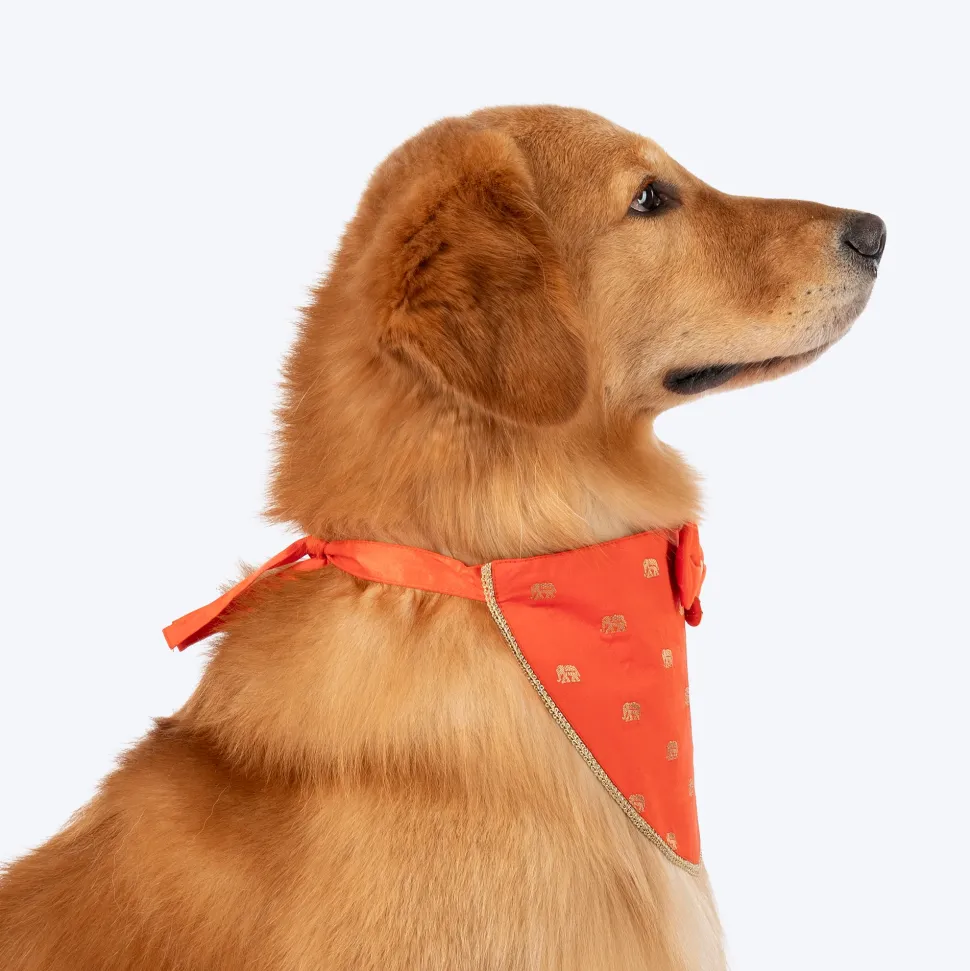 HUFT Royal Elephant Bandana For Dog - Orange