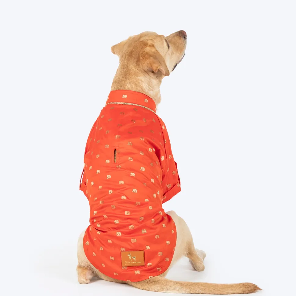 HUFT Royal Elephant Brocade Kurta For Dog & Cat - Orange
