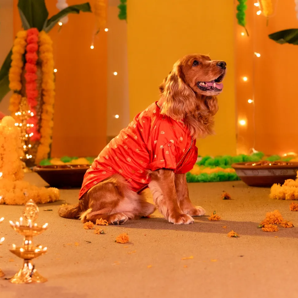 HUFT Royal Elephant Brocade Kurta For Dog & Cat - Orange
